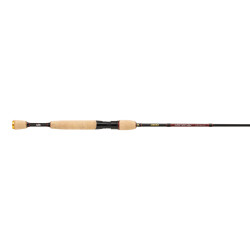 Carabus AG Spinning Combo