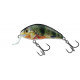 Rattlin´ Hornet Shallow 4,5cm Holographic Real Dace