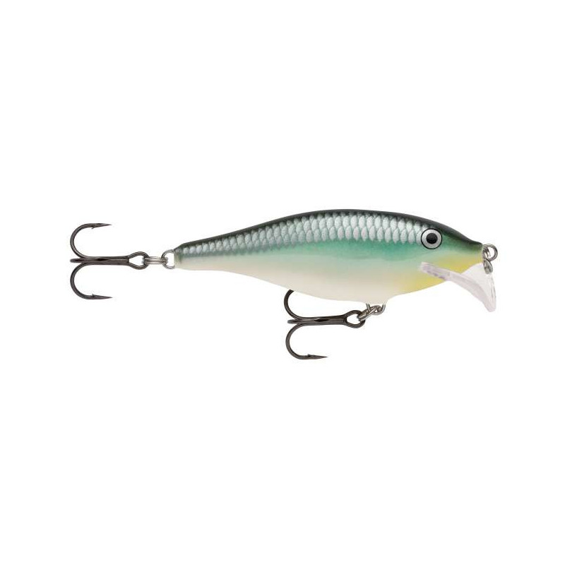 Scatter Rap Shad SCRS05BBH