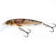 Minnow Floating 5cm Wounded Dace M5F